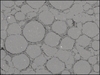 Fig. 3: Electron microscope image (100X) of sintered UO2-BeO showing the general microstructure