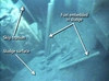 ROV_annotated