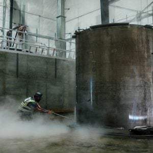 olivenbaum natürlich düngen Purgrün Olivenbaum-Dünger 1 Liter